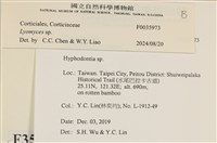 登錄號:F0035973藏品圖，第2張
