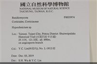 登錄號:F0035974藏品圖，第2張