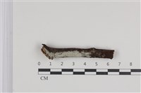 登錄號:F0035974藏品圖，第1張