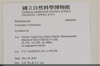 登錄號:F0035976藏品圖，第2張