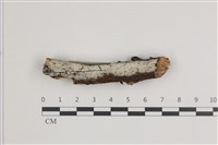 登錄號:F0035976藏品圖，第1張