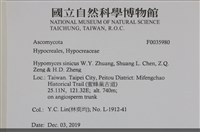登錄號:F0035980藏品圖，第2張