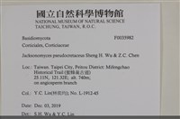 登錄號:F0035982藏品圖，第2張