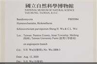 登錄號:F0035984藏品圖，第2張