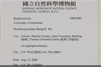 登錄號:F0035985藏品圖，第2張