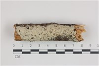 登錄號:F0035985藏品圖，第1張