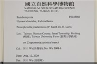 登錄號:F0035986藏品圖，第2張