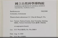 登錄號:F0035989藏品圖，第2張