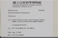 登錄號:F0035991藏品圖，第2張