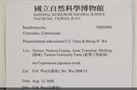 登錄號:F0035992藏品圖，第2張