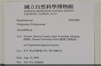 登錄號:F0035994藏品圖，第2張