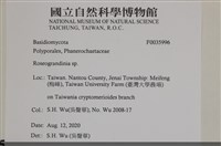 登錄號:F0035996藏品圖，第2張
