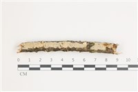 登錄號:F0035996藏品圖，第1張