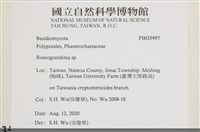 登錄號:F0035997藏品圖，第2張