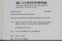 登錄號:F0035999藏品圖，第2張