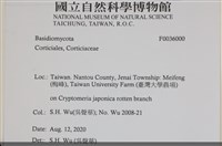 登錄號:F0036000藏品圖，第2張