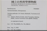 登錄號:F0036001藏品圖，第2張
