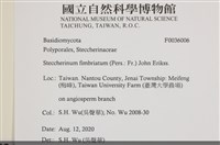 登錄號:F0036006藏品圖，第2張