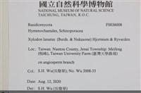 登錄號:F0036008藏品圖，第2張