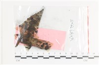 登錄號:F0036014藏品圖，第1張