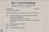 登錄號:F0036015藏品圖，第2張
