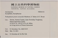 登錄號:F0036016藏品圖，第2張