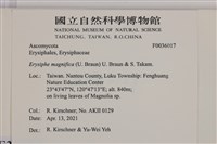 登錄號:F0036017藏品圖，第2張