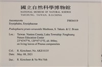 登錄號:F0036019藏品圖，第2張