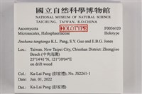 登錄號:F0036020藏品圖，第2張