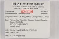 登錄號:F0036021藏品圖，第2張
