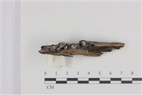 登錄號:F0036021藏品圖，第1張
