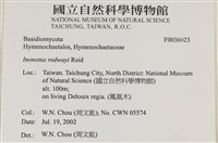 登錄號:F0036023藏品圖，第2張