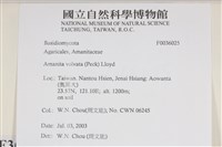 登錄號:F0036025藏品圖，第2張