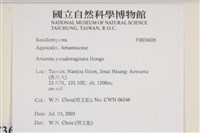 登錄號:F0036026藏品圖，第2張