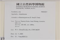 登錄號:F0036027藏品圖，第2張