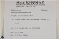 登錄號:F0036028藏品圖，第2張