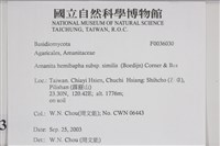 登錄號:F0036030藏品圖，第2張