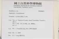 登錄號:F0036031藏品圖，第2張