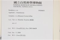 登錄號:F0036032藏品圖，第2張