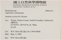 登錄號:F0036033藏品圖，第2張