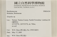 登錄號:F0036034藏品圖，第2張