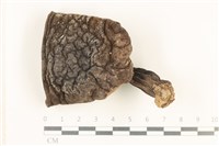 登錄號:F0036034藏品圖，第1張