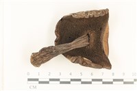 登錄號:F0036034藏品圖，第3張