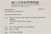 登錄號:F0036035藏品圖，第2張