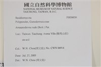 登錄號:F0036036藏品圖，第2張