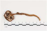 登錄號:F0036036藏品圖，第3張