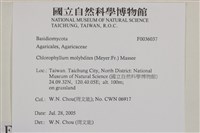 登錄號:F0036037藏品圖，第2張