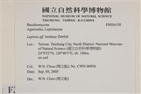 登錄號:F0036038藏品圖，第2張