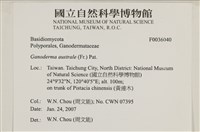 登錄號:F0036040藏品圖，第2張