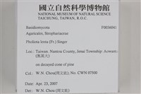 登錄號:F0036041藏品圖，第2張